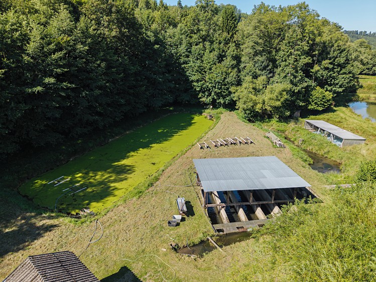 Pronájem rybníku (vodní plochy) 8 295 m² - foto 3