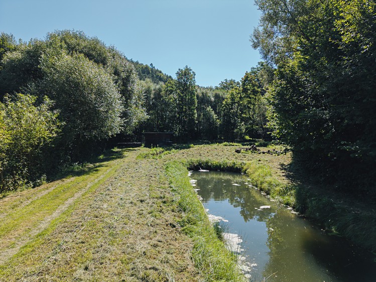 Pronájem rybníku (vodní plochy) 8 295 m² - foto 6