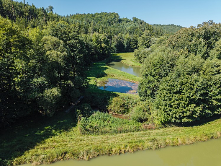 Pronájem rybníku (vodní plochy) 8 295 m² - foto 7