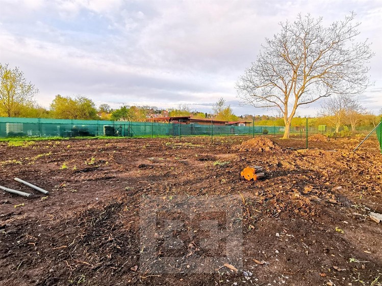 Pronájem zahrady 270 m² - foto 5