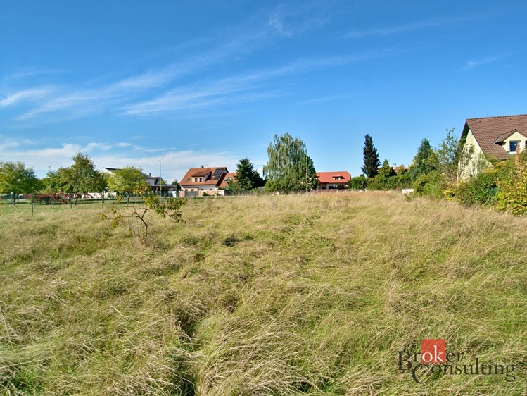 Pronájem zahrady 1 248 m² - foto 3