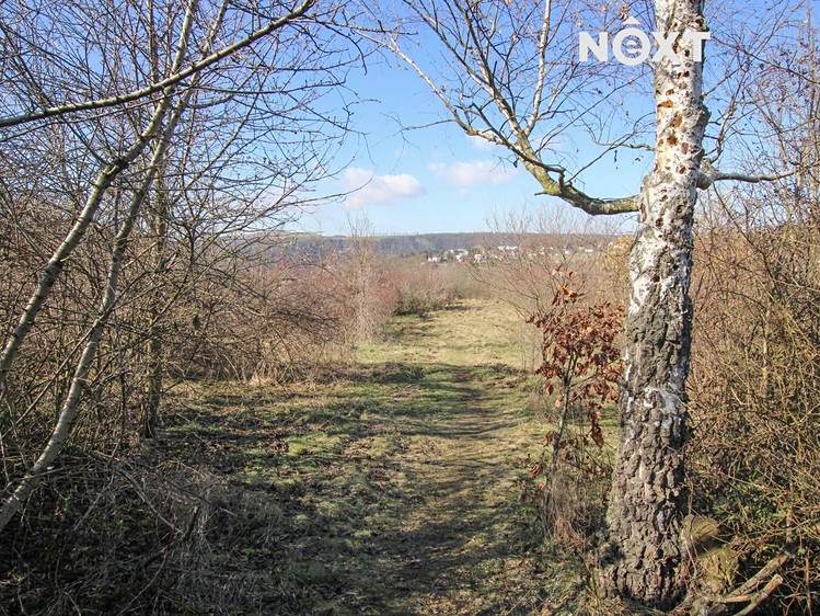 Pronájem zahrady 4 956 m² - foto 1