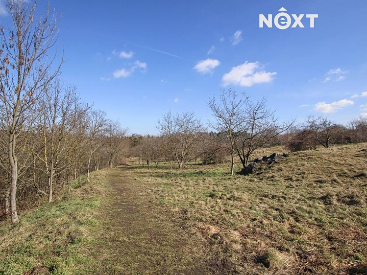 Pronájem zahrady 4 956 m² - foto 4