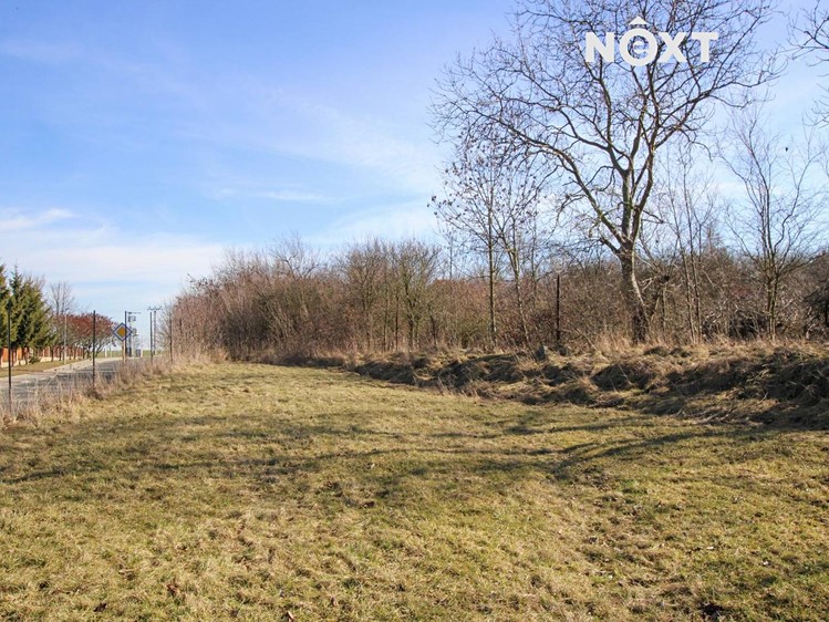 Pronájem pozemku 20 330 m² - foto 5
