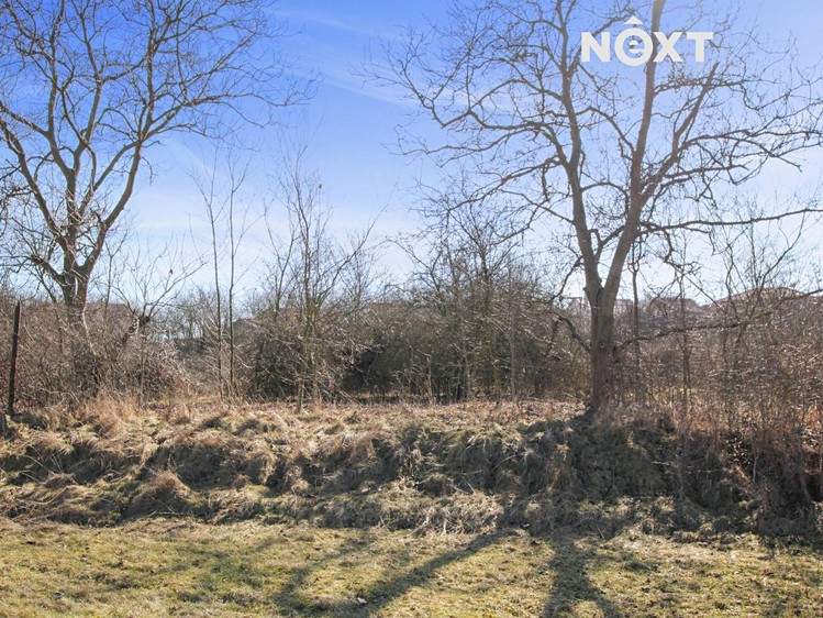 Pronájem pozemku 20 330 m² - foto 6