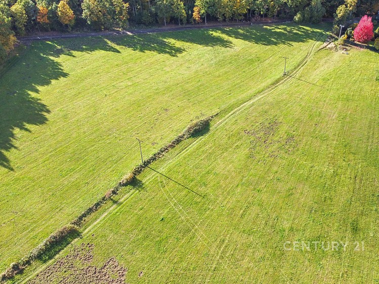Pronájem pozemku 29 836 m² - foto 3