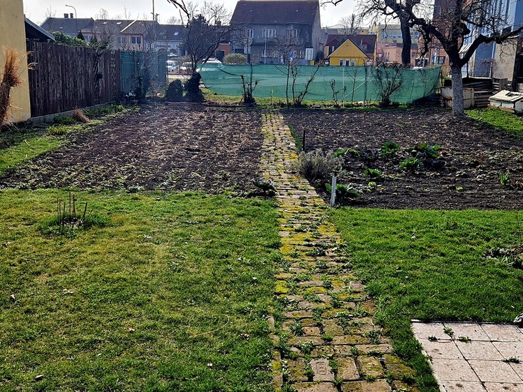 Pronájem  pozemku 379 m² - foto 5