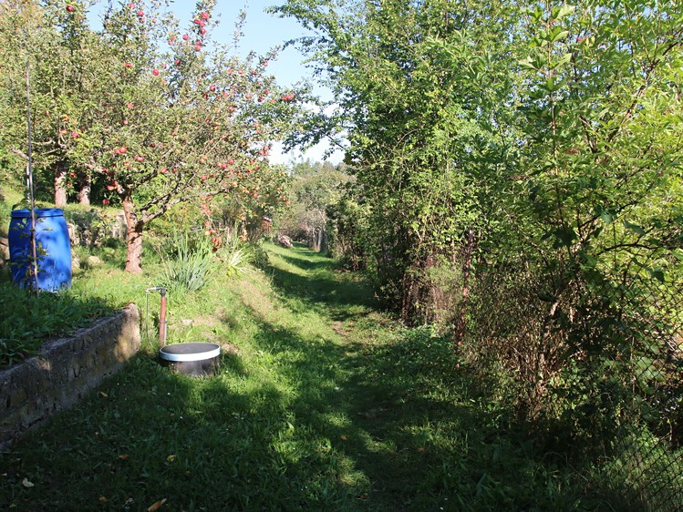 Pronájem zahrady 245 m² - foto 6