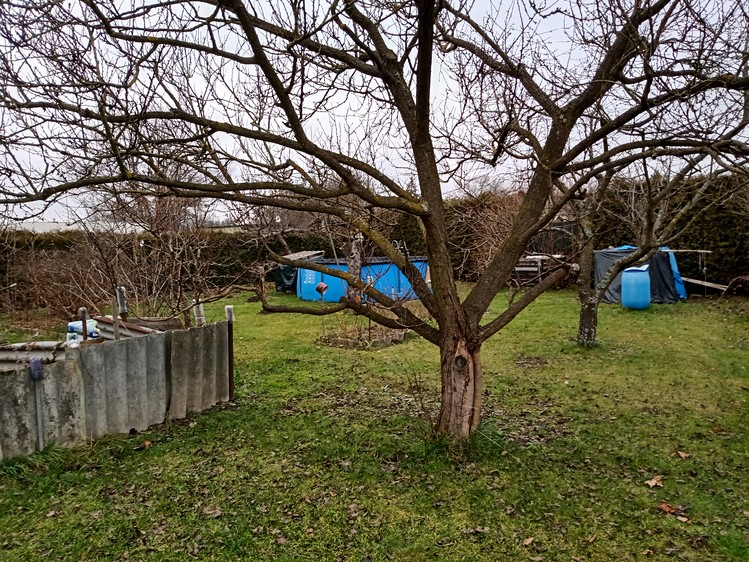 Pronájem zahrady 963 m² - foto 6