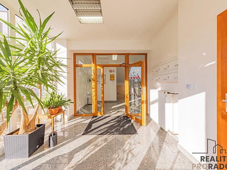 Prodej obchodního prostoru 356 m² - foto 5