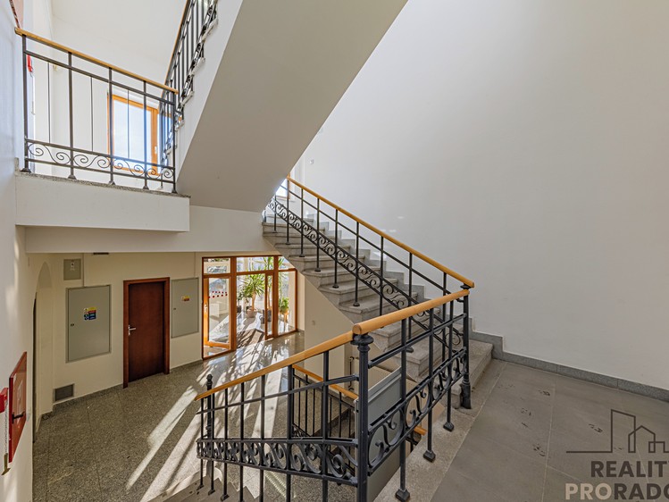 Prodej obchodního prostoru 356 m² - foto 7