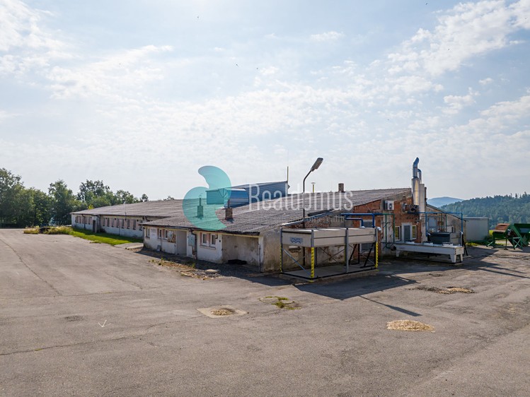 Prodej výrobní haly, prostoru 2 517 m² - foto 6