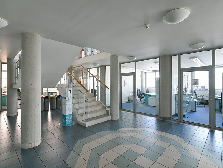 Prodej obchodního prostoru 1 390 m² - foto 4