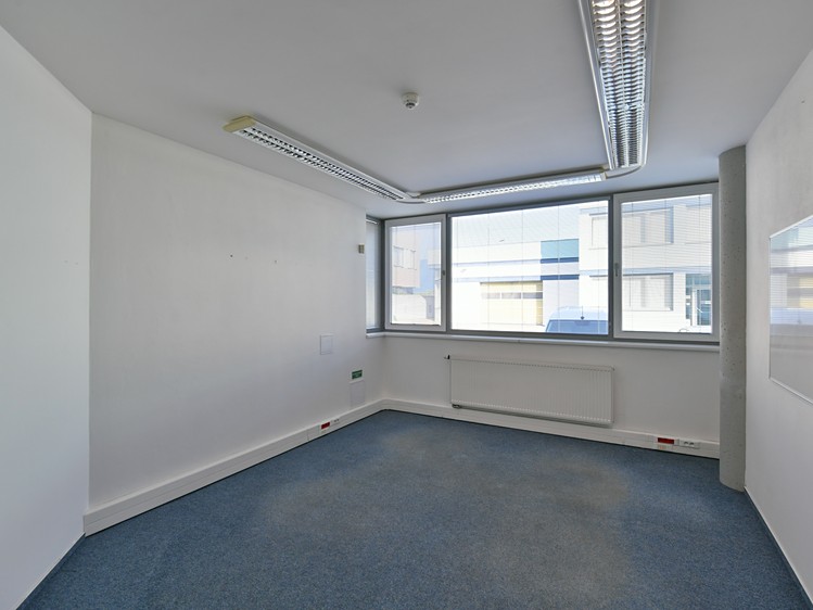 Prodej obchodního prostoru 1 390 m² - foto 7