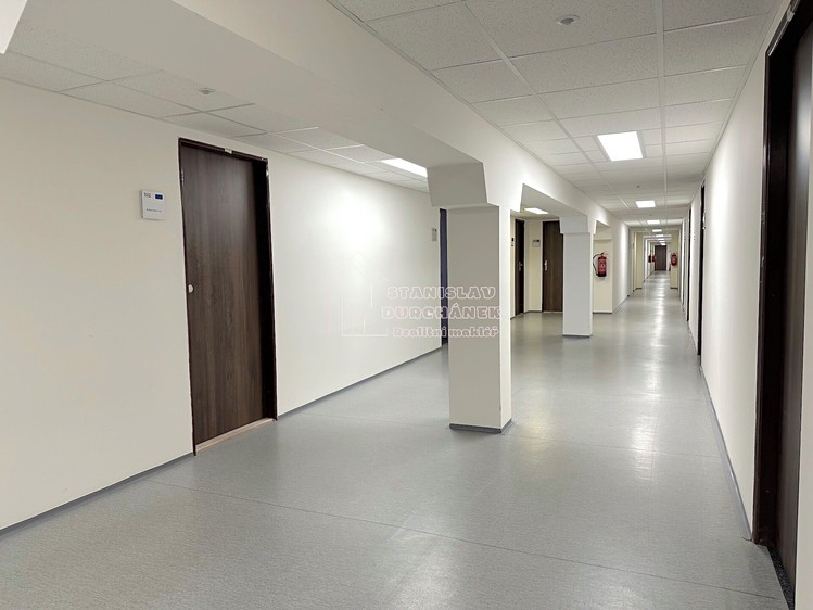 Pronájem kanceláře 24 m² - foto 5