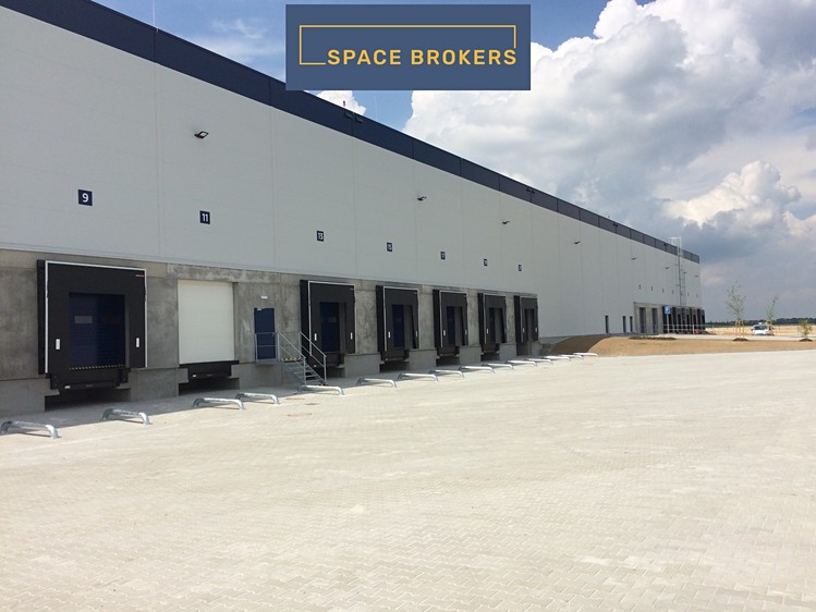 Pronájem skladového prostoru 6 000 m² - foto 2