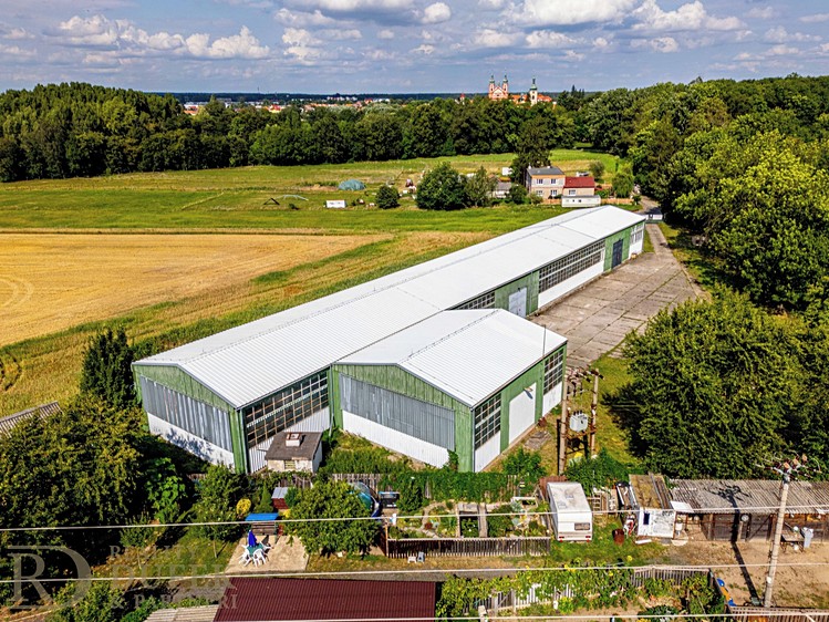 Pronájem skladového prostoru 1 398 m² - foto 1