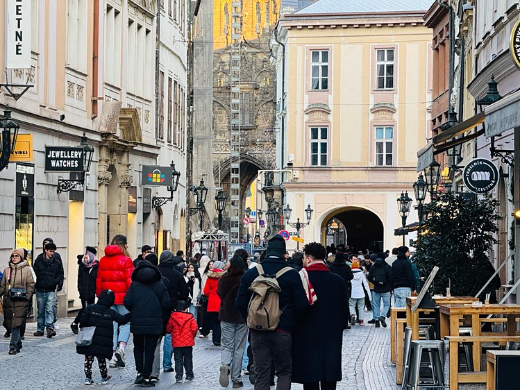Pronájem obchodního prostoru 255 m² - foto 5