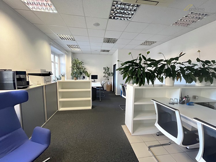 Pronájem kanceláře 100 m² - foto 4