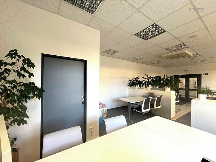 Pronájem kanceláře 100 m² - foto 6