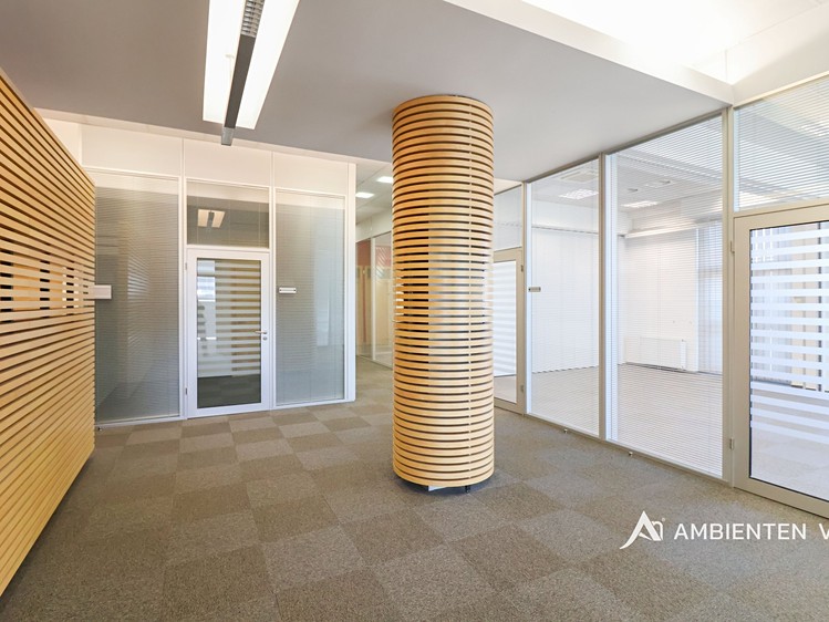 Pronájem kanceláře 248 m² - foto 2