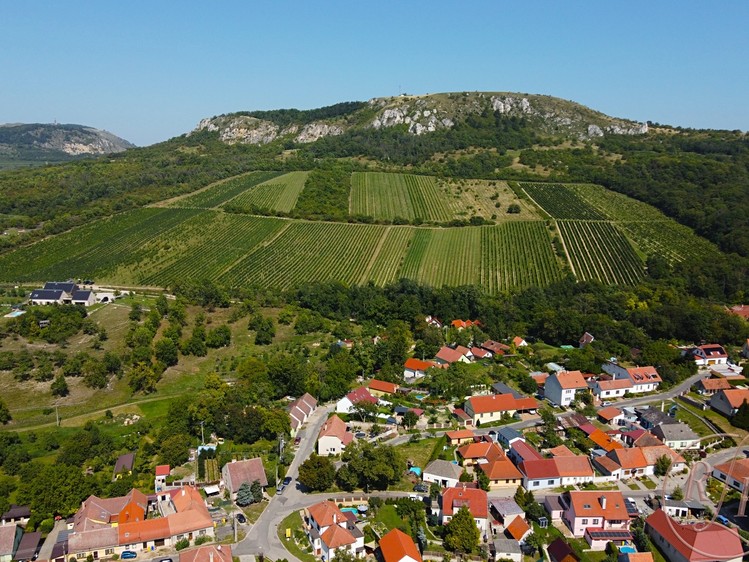 Prodej vinného sklepa 60 m² - foto 5