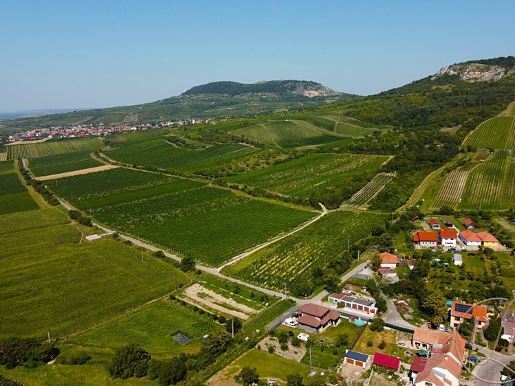 Prodej vinného sklepa 60 m² - foto 8