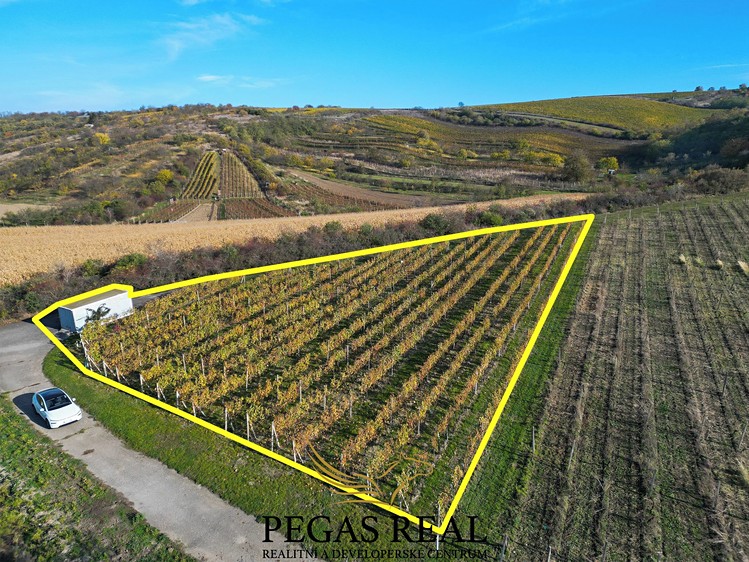 Prodej vinného sklepa 64 m² - foto 5