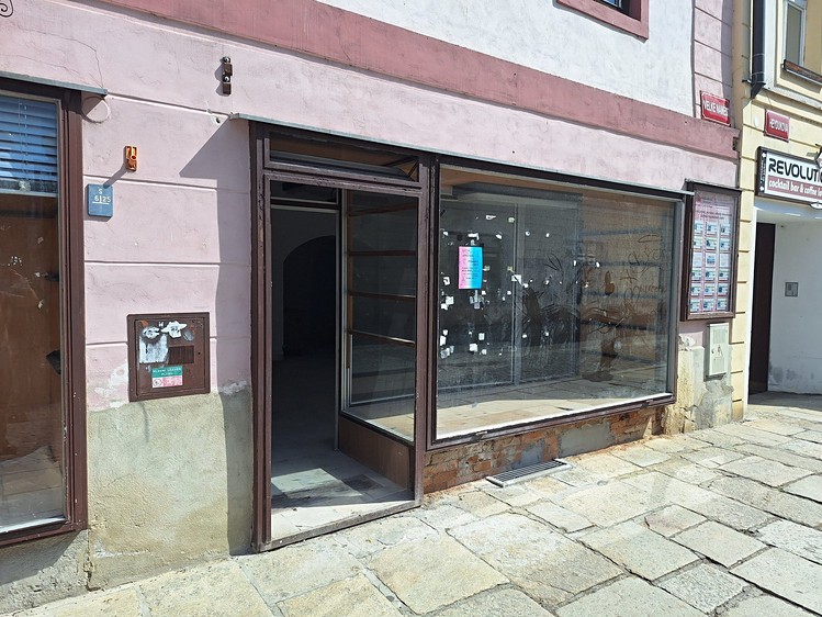 Prodej specifického typu nemovitosti 797 m² - foto 6