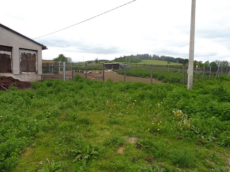 Dražba specifického typu nemovitosti 302 m² - foto 5