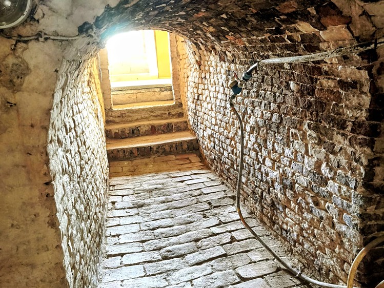 Prodej vinného sklepa 86 m² - foto 8