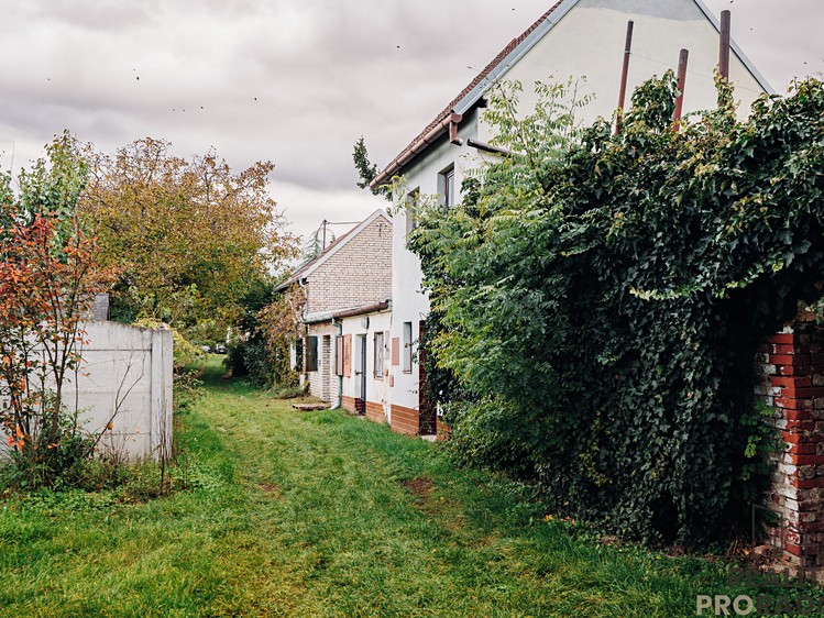 Prodej vinného sklepa 65 m² - foto 7