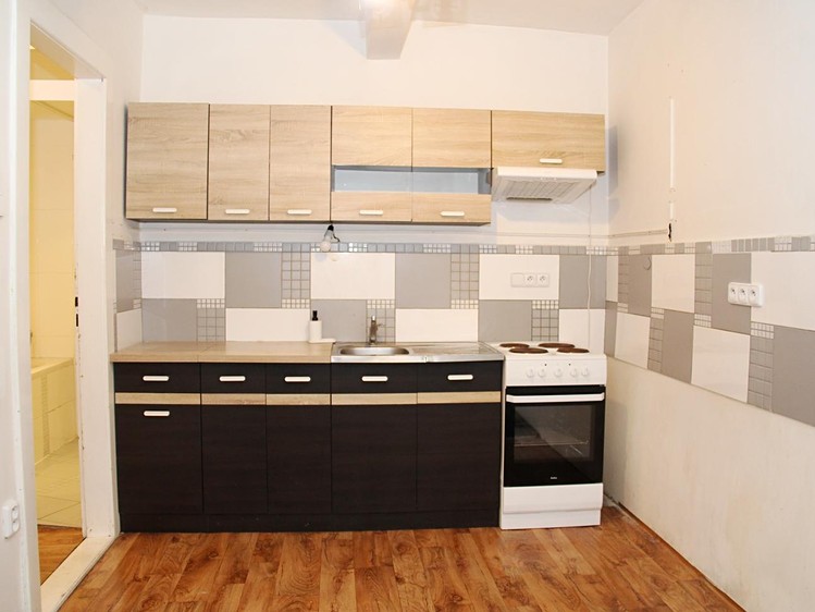 Prodej specifického typu nemovitosti 53 m² - foto 1