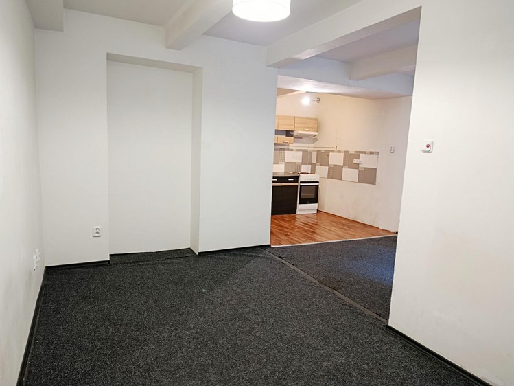 Prodej specifického typu nemovitosti 53 m² - foto 5