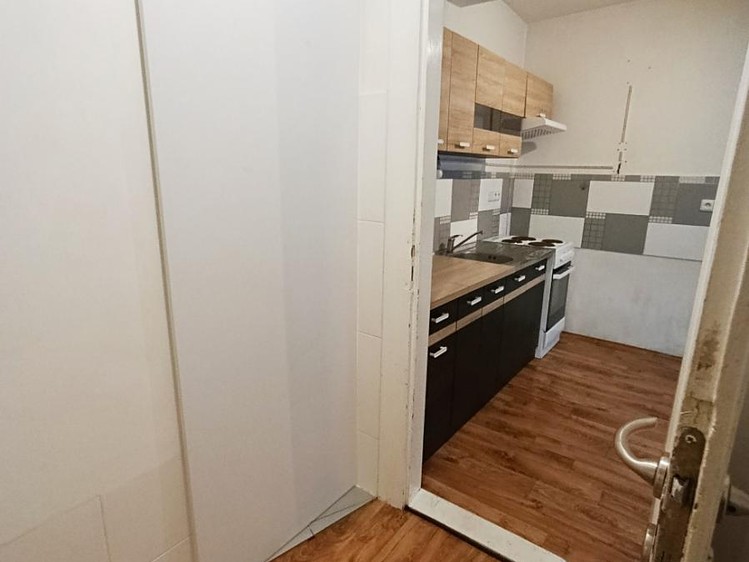 Prodej specifického typu nemovitosti 53 m² - foto 6