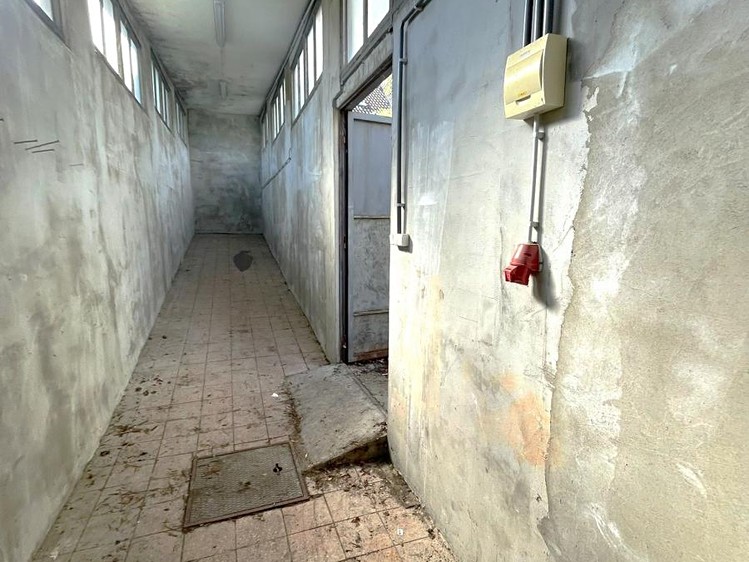 Pronájem specifického typu nemovitosti 61 m² - foto 5