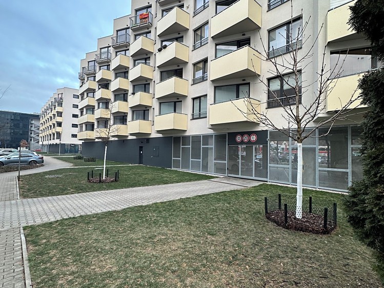 Pronájem specifického typu nemovitosti 13 m² - foto 4