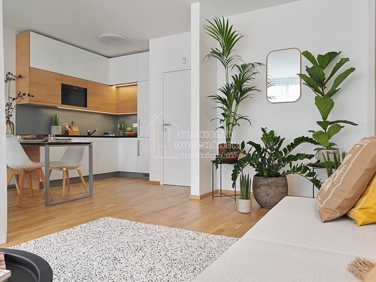 Pronájem bytu 1+kk 43 m² - foto 7