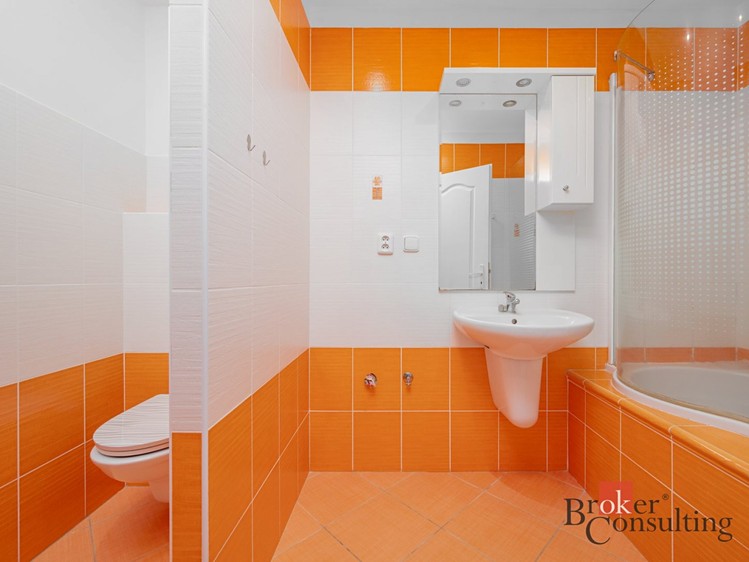 Pronájem bytu 2+1 55 m² - foto 4