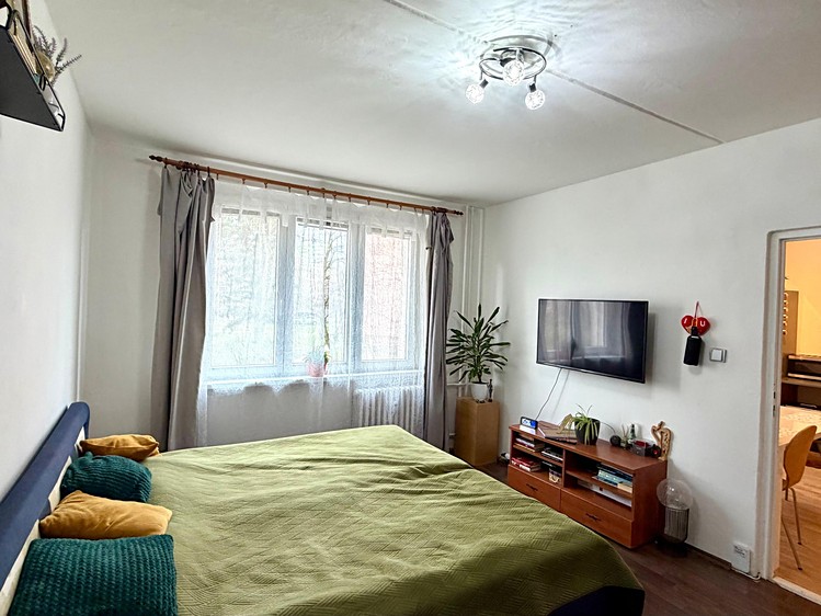 Pronájem bytu 1+1 37 m² - foto 8