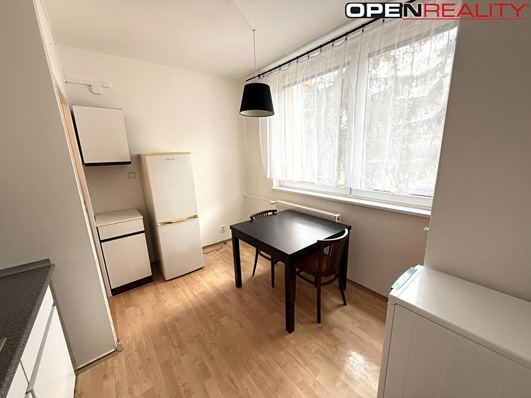 Pronájem bytu 1+1 36 m² (Jednopodlažní) - foto 4