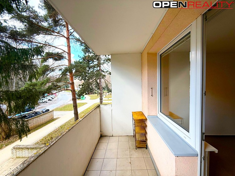 Pronájem bytu 1+1 36 m² (Jednopodlažní) - foto 8
