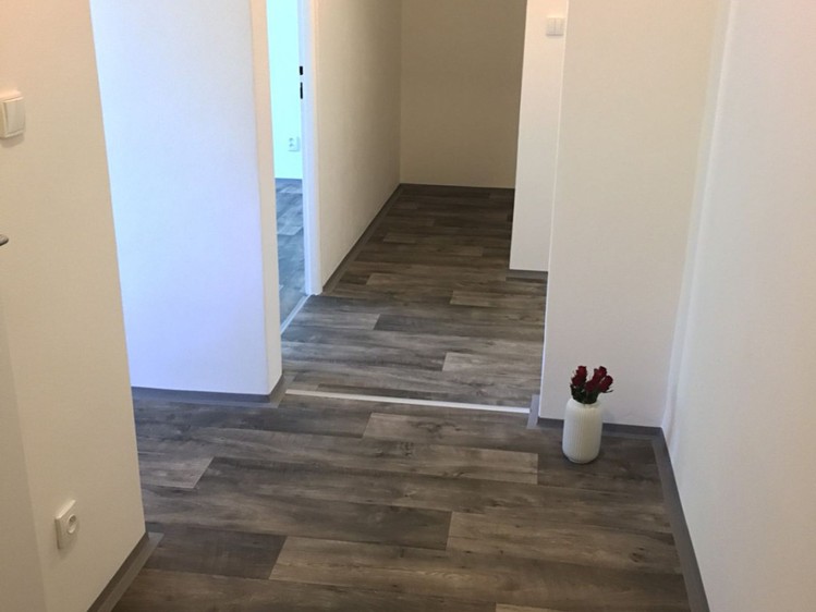 Pronájem bytu 2+1 54 m² - foto 4