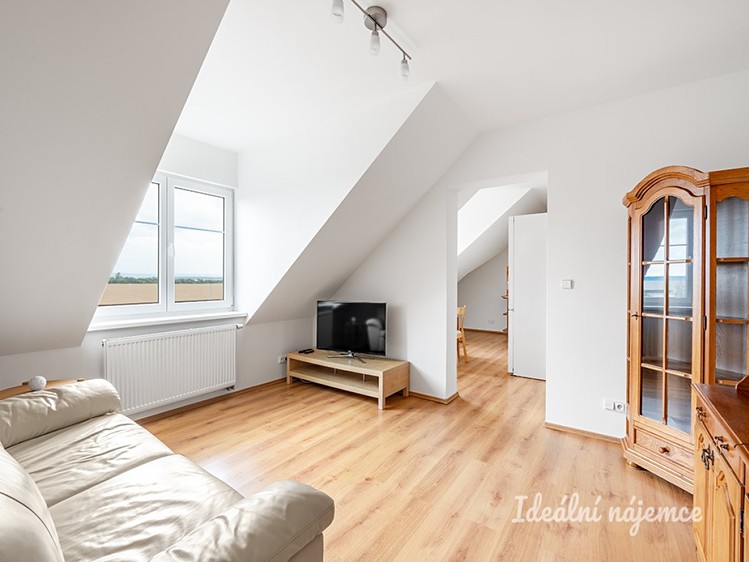 Pronájem bytu 2+1 63 m² - foto 4