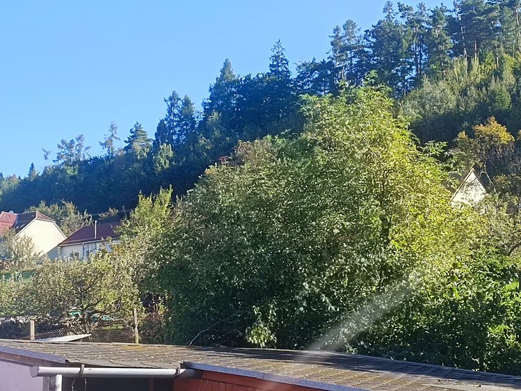 Prodej  rodinného domu 228 m², pozemek 1 031 m² - foto 7