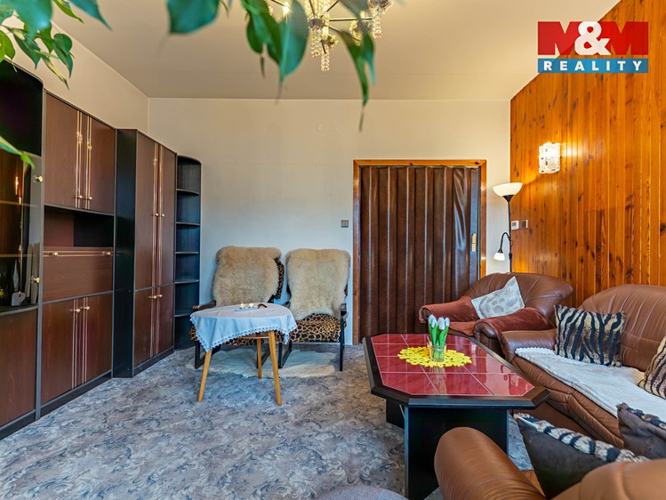 Prodej rodinného domu 250 m², pozemek 502 m² - foto 4
