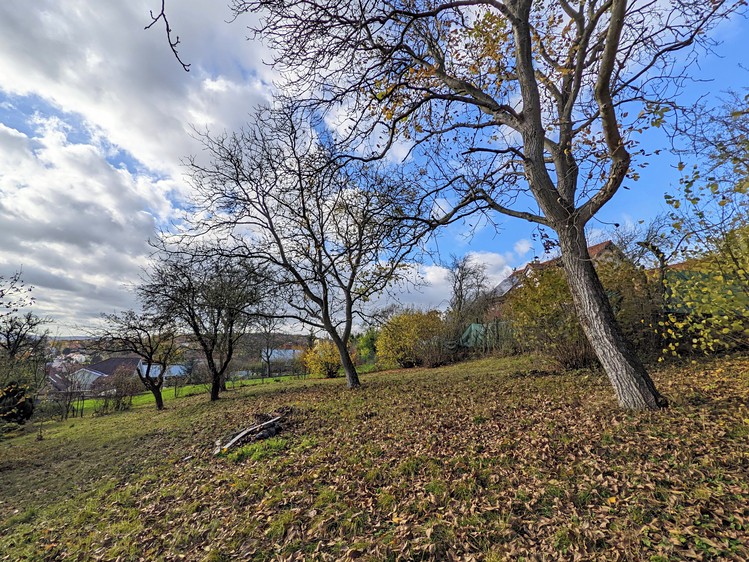 Prodej  stavebního pozemku 1 664 m² - foto 4