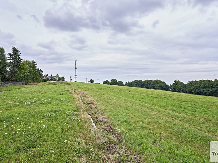 Prodej louky 1 013 m² - foto 4