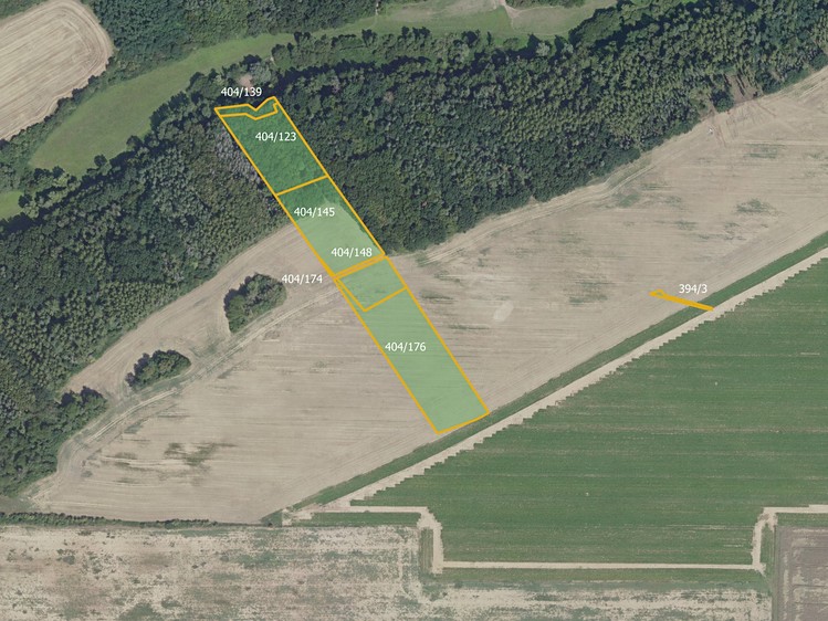 Prodej lesa 19 741 m² - foto 1