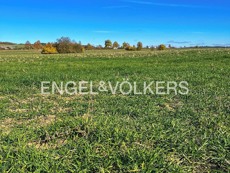 Prodej  pole 212 000 m² - foto 3